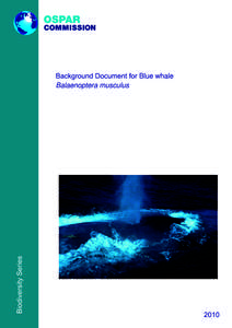 Biology / Cetaceans / Blue whale / Fin whale / Convention for the Protection of the Marine Environment of the North-East Atlantic / Whale / Pygmy blue whale / Killer whale / Cetacea / Zoology / Megafauna / Baleen whales