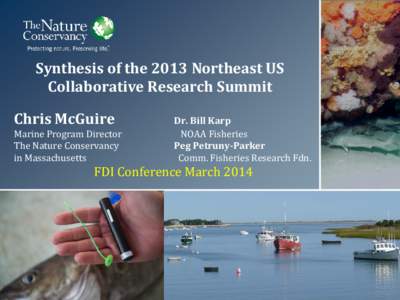 Synthesis of the 2013 Northeast US Collaborative Research Summit Chris McGuire Marine Program Director The Nature Conservancy