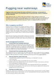 Hydrology / Rivers / Fluvial landforms / Environmental soil science / Habitats / Grazing / Wetland / Stream / Riparian zone / Water / Environment / Earth