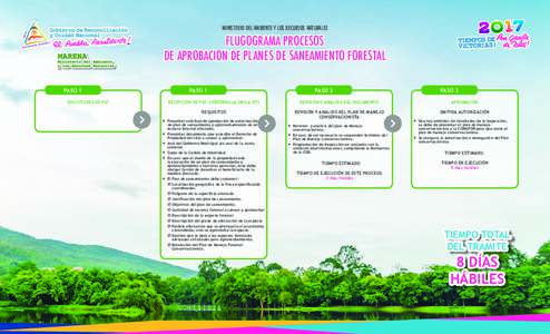 MINISTERIO DEL AMBIENTE Y LOS RECURSOS NATURALES  FLUGOGRAMA PROCESOS DE APROBACION DE PLANES DE SANEAMIENTO FORESTAL PASO 1 SOLICITUDES DE PSF