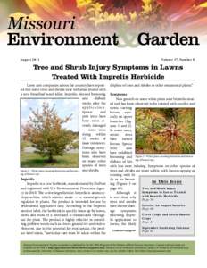 Missouri August 2011 Volume 17, Number 8  Tree and Shrub Injury Symptoms in Lawns