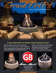 Physics / Fireplaces / Burner / Spark / Electric spark