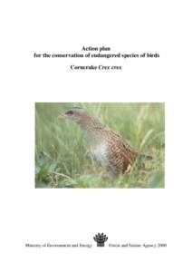 Action plan for the conservation of endangered species of birds Corncrake Crex crex Ministry of Environment and Energy