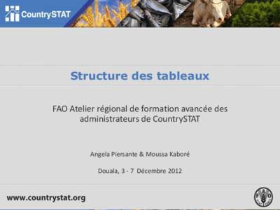 Structure des tableaux FAO Atelier régional de formation avancée des administrateurs de CountrySTAT Angela Piersante & Moussa Kaboré Douala, 3 - 7 Décembre 2012