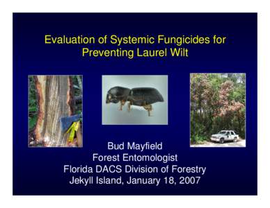 Evaluation of Systemic Fungicides for Preventing Laurel Wilt Bud Mayfield Forest Entomologist Florida DACS Division of Forestry