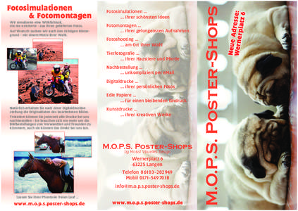 M.O.P.S. Poster-Shops Langen (Hessen)