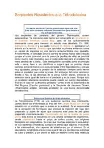 Serpientes Resistentes a la Tetrodotoxina  Un macho adulto de Taricha granulosa en época de cría. Este tritón contiene suficiente tetrodotoxina para matarte a ti y a 29 personas mas.