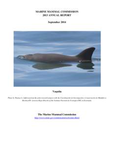 MARINE MAMMAL COMMISSION 2013 ANNUAL REPORT September 2014 Vaquita Photo by Thomas A. Jefferson from the joint research project with the Coordinación de Investigación y Conservación de Mamíferos