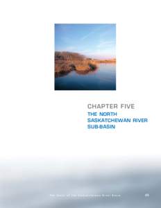 CHAPTER FIVE THE NORTH SASKATCHEWAN RIVER SUB-BASIN  The State of the Saskatchewan River Basin
