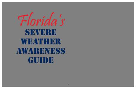 Storm / Thunderstorm / Lightning strike / Lightning / Rip current / Severe weather / Waterspout / Meteorology / Atmospheric sciences / Weather