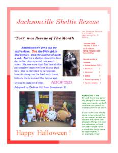 Jacksonville Sheltie Rescue “Tori” was Rescue of The Month Sometimes we get a call we can’t refuse. Tori, the little girl in this picture, was the subject of such a call. Tori is a sheltie plus (plus border collie,