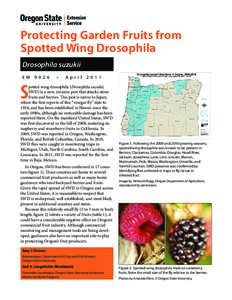 Protecting garden fruits from spotted wing drosophila (Drosophila suzukii)