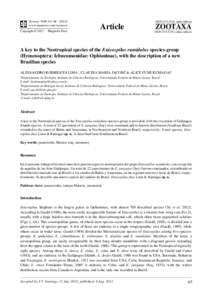 A key to the Neotropical species of the Enicospilus ramidulus species-group (Hymenoptera: Ichneumonidae: Ophioninae), with the description of a new Brazilian species