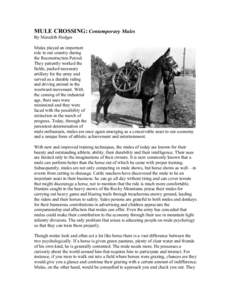 MULE CROSSING: Contemporary Mules By Meredith Hodges Mules played an important role in our country during the Reconstruction Period. They patiently worked the