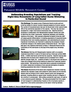 Patuxent Wildlife Research Center Delineating Breeding Populations and Tracking Night-time Movements of Long-tailed Ducks Wintering in Nantucket Sound The Challenge: The coastal areas of Nantucket Island provide optimum 