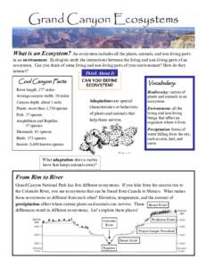 Physical geography / Colorado River / Grand Canyon / Ecosystem / Ecology / Boreal / Pinyon Jay / Coconino National Forest / Ecological systems of Montana / Geography of Arizona / Geography of the United States / Colorado Plateau