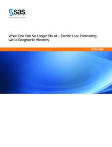 When One Size No Longer Fits All – Electric Load Forecasting with a Geographic Hierarchy WHITE PAPER SAS White Paper