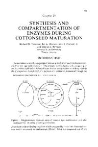 441  Chapter 29 SYNTHESIS AND COMPARTMENTATION OF