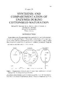 Plant morphology / Metabolic pathways / Metabolism / Embryology / Seed / Isocitrate lyase / Glyoxysome / Gluconeogenesis / Germination / Biology / Chemistry / Plant reproduction