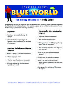 The Biology of Sponges • Study Guide A sponge might not look like much, but these simple animals with no brain or ability to move have lived on Earth for hundreds of millions of years. They can hunt prey and spawn, and