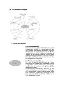 Die Projektumfeldanalyse Projektanwender