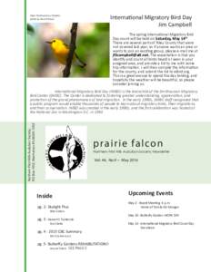 Sayornis / National Audubon Society / Audubon / Birdwatching / Christmas Bird Count / Bird / Eastern phoebe / Prairie falcon