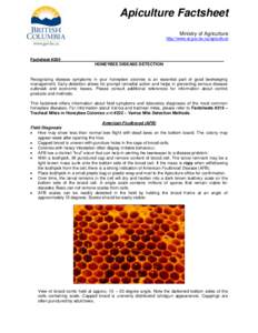 Apiculture Factsheet Ministry of Agriculture http://www.al.gov.bc.ca/apiculture Factsheet #205 HONEYBEE DISEASE DETECTION