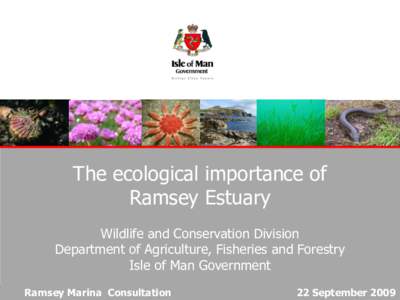 The ecological importance of Ramsey Estuary Wildlife and Conservation Division Department of Agriculture, Fisheries and Forestry Isle of Man Government Ramsey Marina Consultation