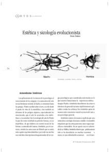 Estética y sicología evolucionista Denis Dutton 74  Escarabajo  Lucanidae,  macho  y  hembra.