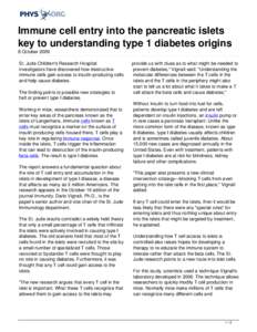 Immune cell entry into the pancreatic islets key to understanding type 1 diabetes origins