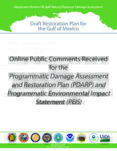 Deepwater Horizon Oil Spill Natural Resource Damage Assessment  Draft Restoration Plan for the Gulf of Mexico  Online Public Comments Received