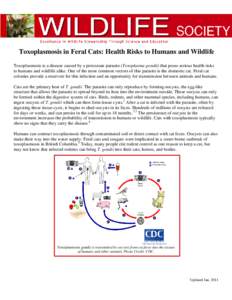 Toxoplasmosis in Feral Cats: Health Risks to Humans and Wildlife Toxoplasmosis is a disease caused by a protozoan parasite (Toxoplasma gondii) that poses serious health risks to humans and wildlife alike. One of the most