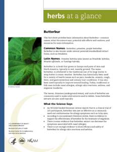 Butterbur This fact sheet provides basic information about butterbur—common names, what the science says, potential side effects and cautions, and resources for more information.  Common Names—butterbur, petasites, p