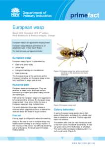 European wasp March 2015 Primefact 1370 2nd edition Plant Biosecurity & Product Integrity, Orange European wasp is an aggressive stinging insect European wasp (Vespula germanica) is an