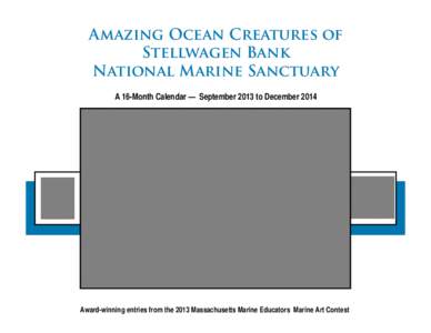 Amazing Ocean Creatures of Stellwagen Bank National Marine Sanctuary A 16-Month Calendar — September 2013 to December[removed]Award-winning entries from the 2013 Massachusetts Marine Educators Marine Art Contest