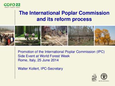 The International Poplar Commission and its reform process Promotion of the International Poplar Commission (IPC) Side Event at World Forest Week Rome, Italy, 25 June 2014