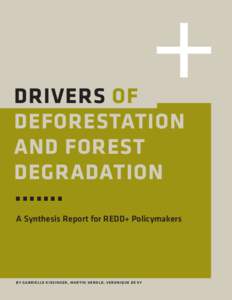 Drivers of Deforestation and Forest Degradation  .......