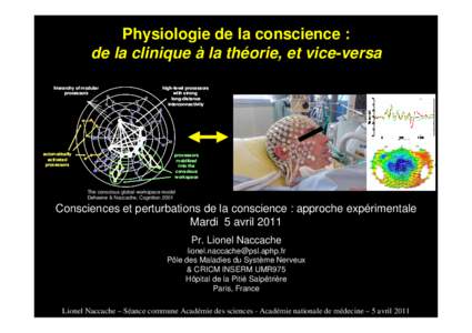 Physiologie de la conscience : de la clinique à la théorie, et vice-versa hierarchy of modular processors  automatically