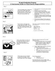 Scrapie Eradication Program A Veterinarians Guide to a Flock Owners Responsibilities Step 1 This list indicates which sheep and goats require USDA approved scrapie ear tags or other forms of