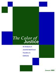 The Color of Justice  The Color of Justice An Analysis of Juvenile Adult Court