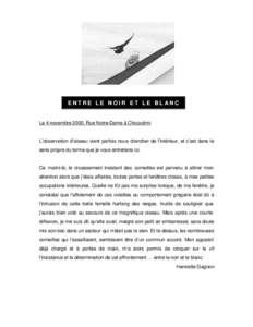 ENTRE LE NOIR ET LE BLANC  Le 4 novembre 2000, Rue Notre-Dame à Chicoutimi L’observation d’oiseau vient parfois nous chercher de l’intérieur, et c’est dans le sens propre du terme que je vous entretiens ici.