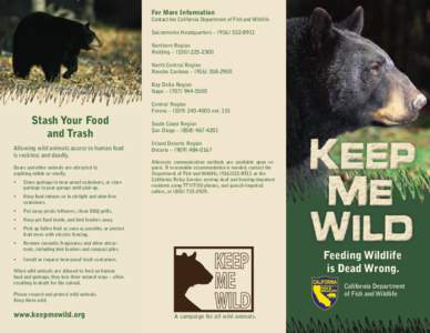 Keep Me Wild Bear brochure