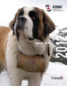 Annual Report CDIC—Depositor’s best friend CDIC Mandate As one of five federal agencies that make up Canada’s financial safety net,* our role is unique in that our mandate is to provide insurance against the loss 