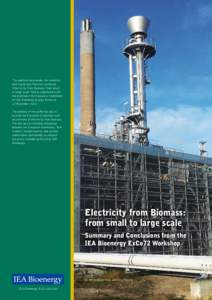 This publication provides the summary and conclusions from the workshop ‘Electricity from Biomass: from small to large scale’ held in conjunction with the meeting of the Executive Committee of IEA Bioenergy in Jeju, 