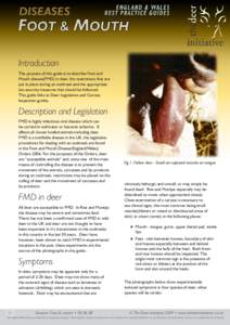 Introduction The purpose of this guide is to describe Foot and Mouth disease(FMD) in deer, the restrictions that are put in place during an outbreak and the appropriate bio-security measures that should be followed. This