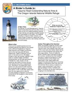 A Birder’s Guide to: Yaquina Head Outstanding Natural Area & The Oregon Islands National Wildlife Refuge Western Gull December