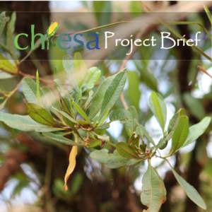Project Brief  TITLE: Climate Change Impacts on Ecosystem Services and Food Security in Eastern Africa (CHIESA) Increasing Knowldege, Building Capacity and Developing Adaptation Strategies SECTOR: