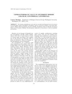 1999. The Journal of Arachnology 27:94–102  CEPHALOTHORACIC SULCI IN LINYPHIINE SPIDERS