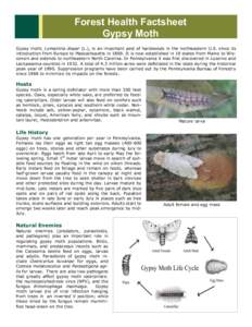 Forest Health Factsheet Gypsy Moth Gypsy moth, Lymantria dispar (L.), is an important pest of hardwoods in the northeastern U.S. since its introduction from Europe to Massachusetts in[removed]It is now established in 19 st
