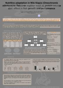 Nutritive adaptation in Nile tilapia (Oreochromis niloticus) to Tenebrio mollitor meal as protein source diet: effect in fish growth and performance C. de Haro*, F.G. Barroso, L Hidalgo, F. Uclés, M.J. Sánchez-Muros. D